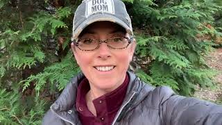 The Path Of The Mycotoxin