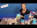 4-in-1 No Stuffing Dog Toy Plush Hippo w/ Squeaker