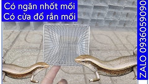 Lồng bẫy rắn mối có ngăn nhốt mồi riêng. Bẫy rắn mối có cửa đổ rắn. Lồng bẫy dông cát. Bẫy dông cát.