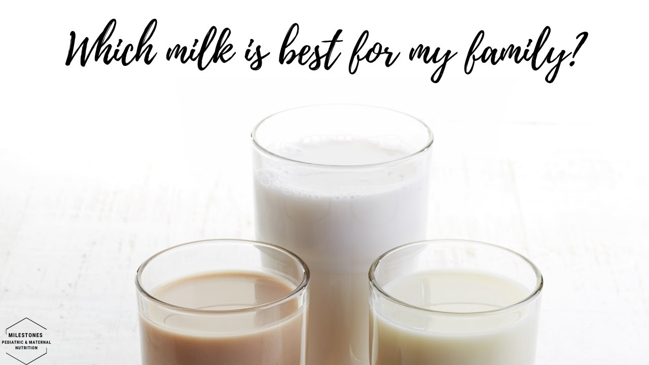 Which Milk is Best For My Family? YouTube