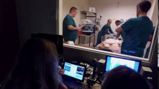 Celebrity Capital Community College Nursing Wealth