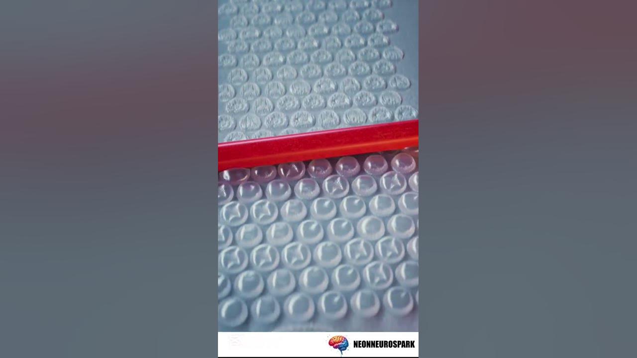 Ultimate Bubble Wrap Popper 😌🔥