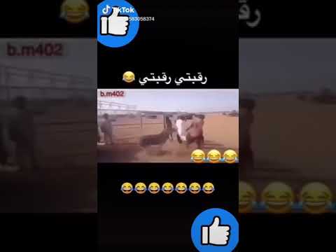 فكني طغطني