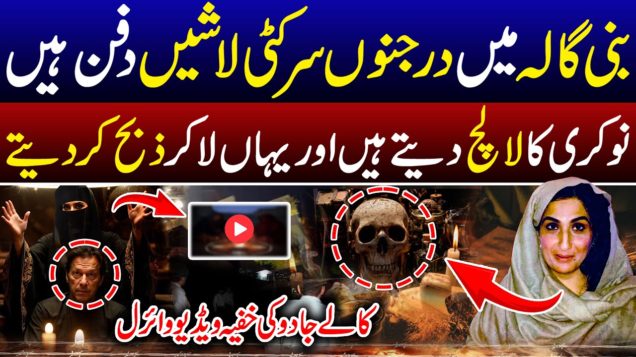 The Economist Article | Bushra Bibi & Imran Khan Exposed  | SPD