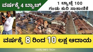 Earn 8 to 10 lakh/year by farming only male sheeps | sheep farming in Karnataka| | sheep farming |