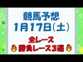 【競馬予想】１月１７日（土）全レース予想／厳選３レース(平場予想・重賞予想)