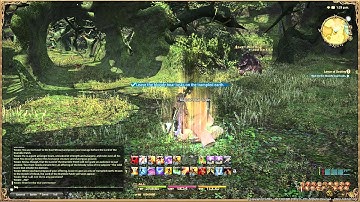 Final Fantasy XIV  A Realm Reborn - Lancer Lv 20 Quest - Lance of Destiny