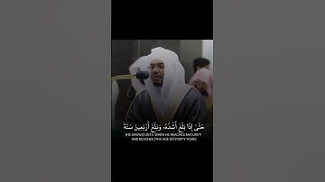 القارئ ياسر الدوسري ( سوره الاحقاف)