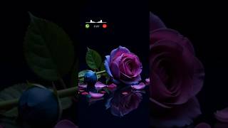 new message ringtone 2025| Sms Tone |sms ringtone |notification ringtone |massage ringtone 2025| SMS