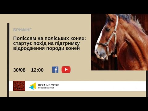 Поліссям на поліських конях: стартує похід на підтримку відродження породи коней. УКМЦ 30.08.2021