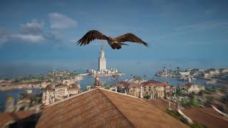 AC Origins Eagle Gameplay | (No Commentary)