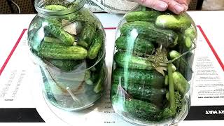Квашеные огурцы /Salted cucumbers