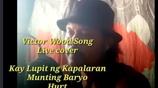 Victor Wood song live cover by noel smets