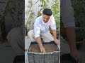 Bottle Gourd (Lauki) Plant Transplant | Easy Grow Bag Gardening Method | Jeet Vlog 3.0