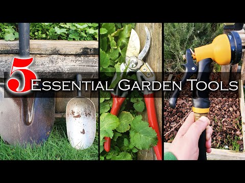 Video: Dārza laistīšanas kanna: pamatnoteikumi dārza instrumentu iegādei