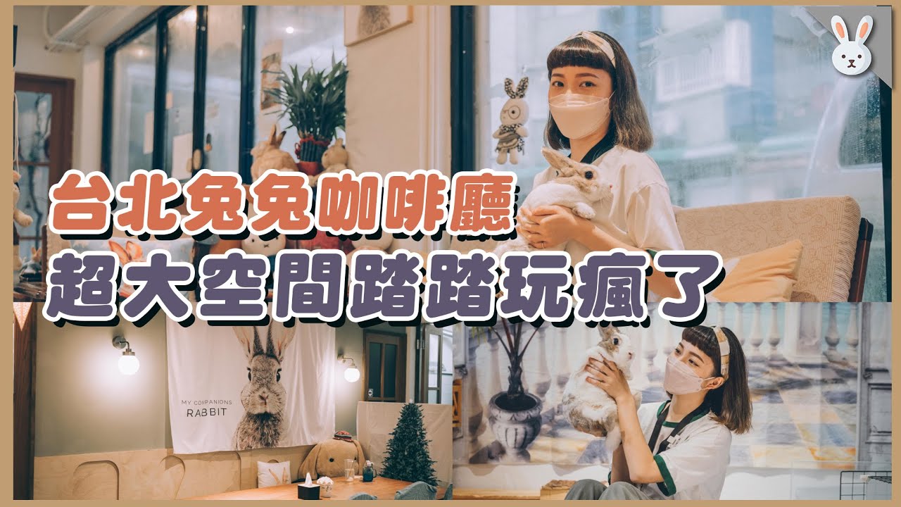 不是業配！台北巷弄內的兔兔咖啡廳，還有超大放風空間！踏踏玩瘋了！｜兩隻胖兔兔 侑敏yomin