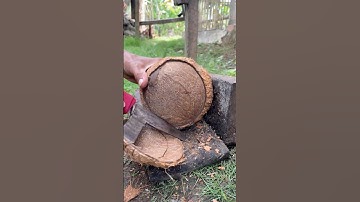 skill of opening a round coconut from its shell
