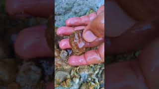 Rock Stones Amazing Color