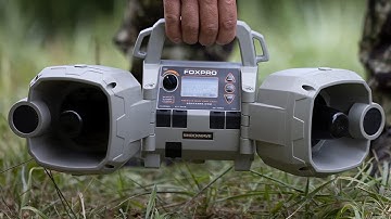 FOXPRO Shockwave Call