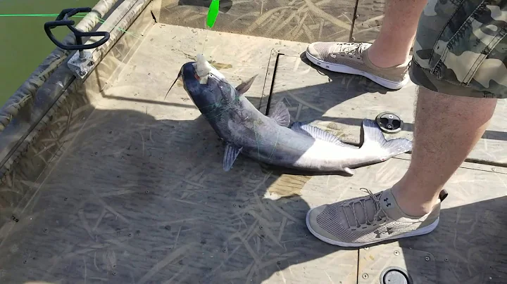 How to Drift for Catfish