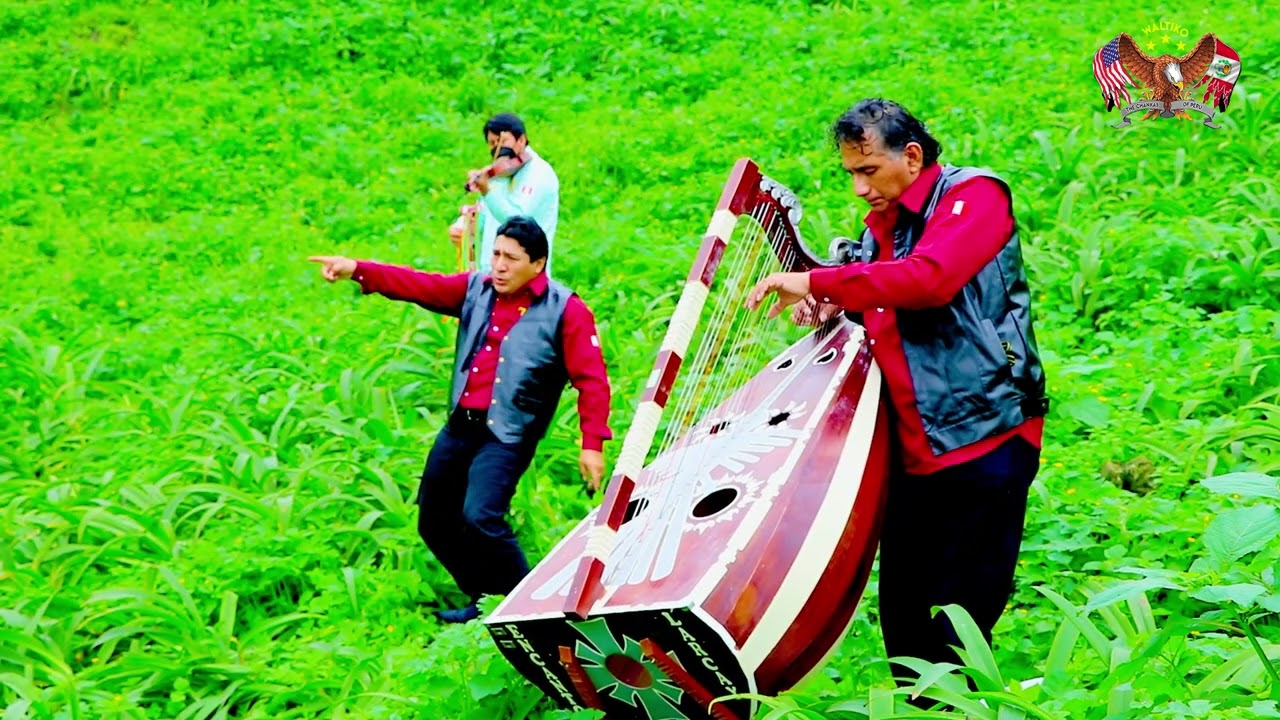 ✅ VIAJE DE AMOR ♪ Waltiko & The Chankas of Perú