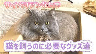 【猫のお迎え準備】【サイベリアン】猫を迎える為に用意したもの・買い足したもの