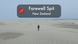 Farewell Spit - New Zealand South Island Nature Travel - 2020