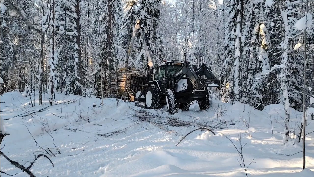 Kapulat huilaa. Vai huilaako? 
