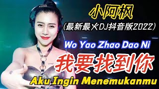 小阿枫 - 我要找到你 (最新最火DJ抖音版2022) Wo Yao Zhao Dao Ni【Aku Ingin Menemukanmu】- Pinyin Indonesian Translation