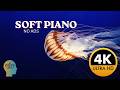 4H Piano + Jellyfish 🪼 Relaxing Aquarium Vibes for Focus, Relax & Sleep