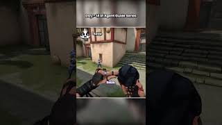 Day 14 of Agent Guide Series (Fade)