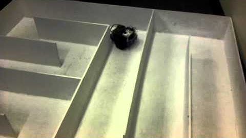 Parallax BoeBot (Maze Navigation with Whiskers)