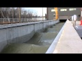 Laboratoire hydraulique environnemental (vue sur le canal)