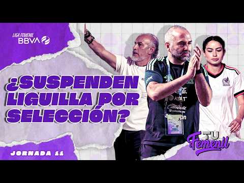 Will the playoffs be suspended due to the Mexican National Team? 🧐 'Potro' Gutiérrez apologizes |...