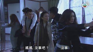 同盟 ｜前一晚結婚，第二日早上奶奶就意外中槍？｜2017年最佳劇集