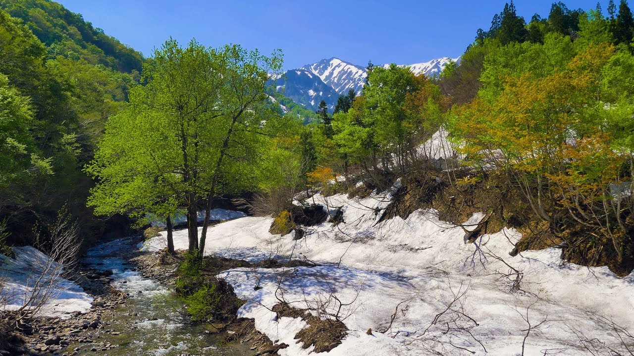[ 4K ] 残雪と新緑の銀山平 Ginzandaira surrounded by Remaining Snow and Fresh Green (新潟県魚沼,Niigata Prefecture)