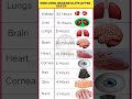 How long organs alive after death