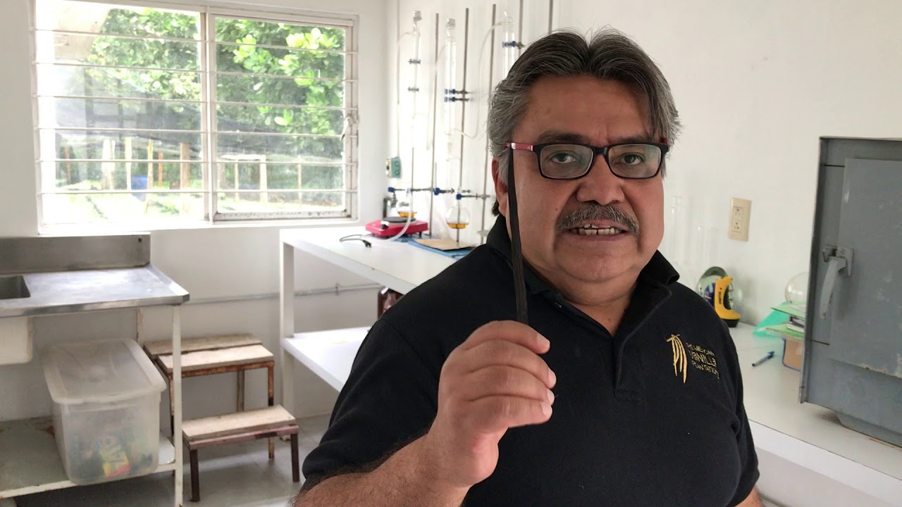 ¿Cómo se HACE LA VAINILLA? camera iphone 8 plus apk
