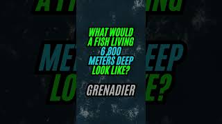 Grenadier - What Would A Fish Living 6,800 Meters Deep Look Like?