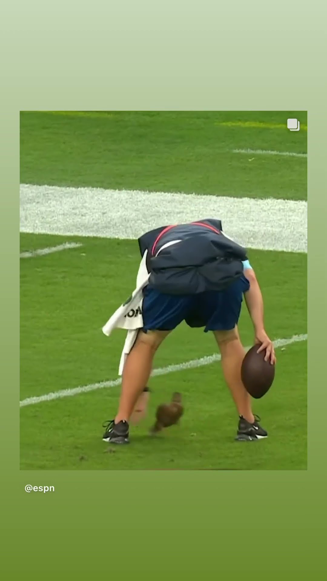 Just grab him #hoodnews #duck #birds #funny #partycrasher #football #omg #how #wow #funnyanimals