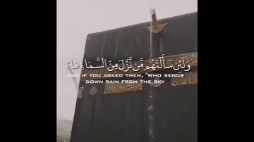 [وَلَئِن سَأَلْتَهُم مَّن نَّزَّلَ مِنَ السَّمَاءِ مَاءً] ارح مسمعك😞❤ القارئ عبدالرحمن مسعد