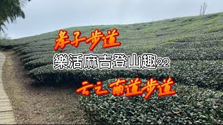 樂活麻吉登山趣22-孝子步道+雲之南道步道