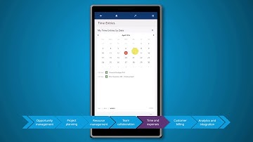 Project service automation for Microsoft Dynamics 365