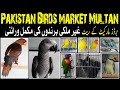 Pakistan birds market rasheedabad  latest price  update  multan animals info