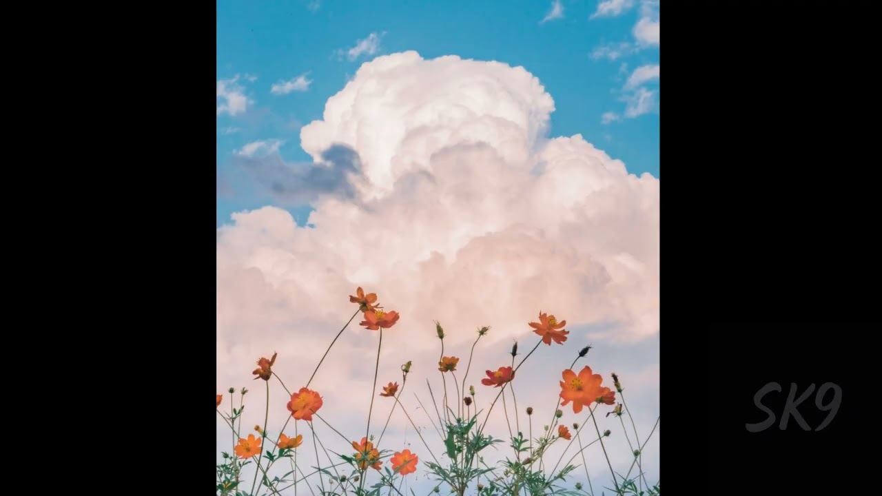 [FREE] Nujabes Type Beat - Perfect