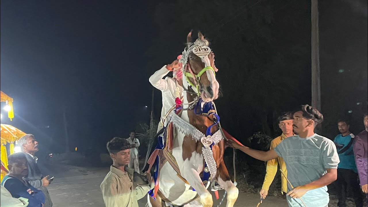 મારા દોસ્ત ના લગનો બલોક જોવાનુ ભુલતા  ના મીતરો 😎💃🥰 #viral #viralvideo #viralshorts #sorts #views 🫵🏻