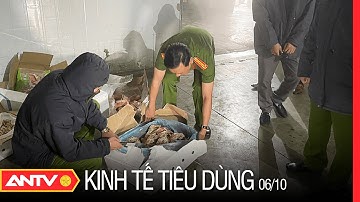 Bản Tin KT&TD Ngày 6/10: Bóc Trần Kho Hàng Chứa 90 Tấn Thực Phẩm Đông Lạnh Không Rõ Nguồn Gốc | ANTV