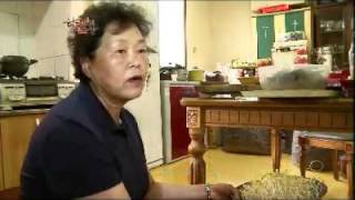 Korean Cuisine and Dining 20110915 #3