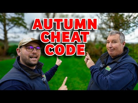 Top 5 November Lawn Care Secrets You Need To Do Before Winter Kicks In