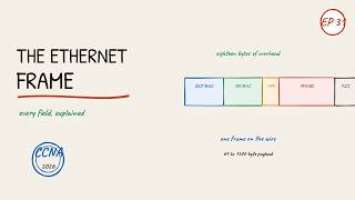 The Ethernet Frame — Every Field Explained | Networking for Normies (CCNA Ep 31)